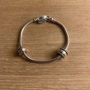 ✨Pandora Bracelet w/ safety charms✨